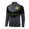 BVB Borussia Dortmund Ensemble Vestes d'Entraînement 22-23 Gris Foncé Pour Homme